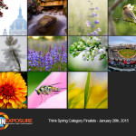 Finalists – January 26th, 2015 – Think Spring