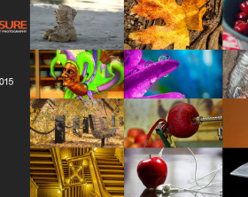 StillLife_Finalists-A