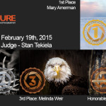 Winners!  February 19th, 2015 – Wildlife