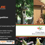 Como Park / Zoo Photo Competition