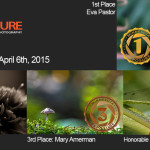 Winners!  April 6th, 2015 – Macro