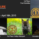 Winners!  April 16, 2015 – Weather