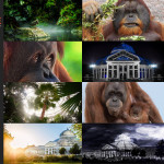 Finalists – Como Park Zoo & Conservatory