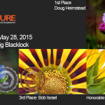 Winners! May 28, 2015 – Flowers