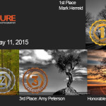 Winners!  May 11, 2015 – Trees