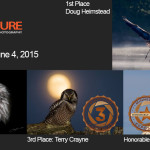 Winners!  June 4, 2015 – Birds