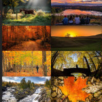 Finalists – October 12, 2015 – Autumn