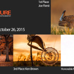 Winners!  October 26, 2015 – Orange