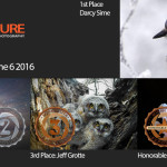 Winners! June 6, 2016 – Nature