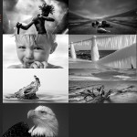 Finalists – February 20, 2017 – Black & White